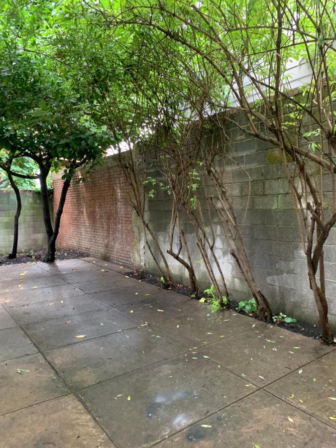 Renovated English Basement 2Bdrm Home Near Metro Ουάσινγκτον Εξωτερικό φωτογραφία
